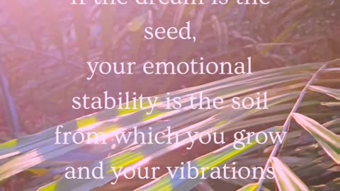 ~ If your dream were a seed