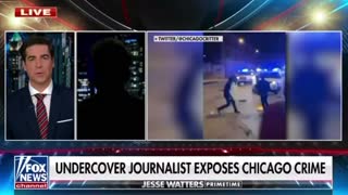 Undercover Journalist Exposes Chicago Crime