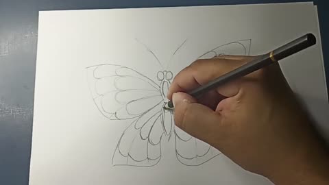Drawing and Doodle buterfly