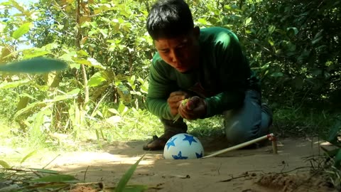 New Creative Unique Bird Trap Using Small Plastic Ball - Rolling Parrot Trap in Hole