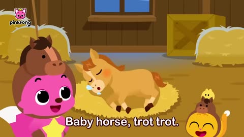 BABY HORSE,TROT TROT BABY ANIMALS SONGS ! PINKFONG FOR KIDS !!!