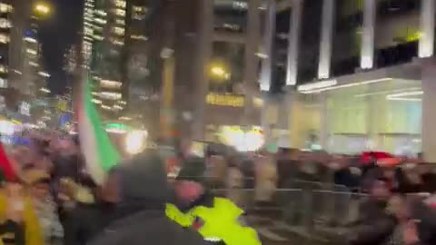 Pro-Hamas Mob Clashes With NYPD