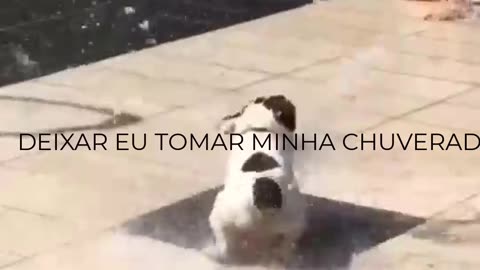 DEIXAR EU TOMAR MINHA CHUVERADA.