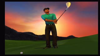 Tiger Woods PGA Tour 2004