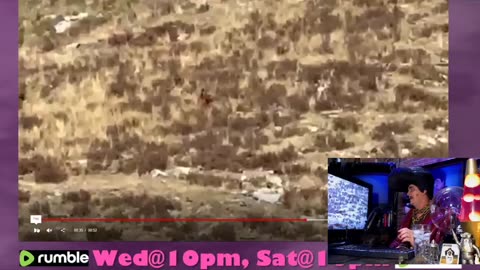 Clear footage of a Colorado sasquatch!