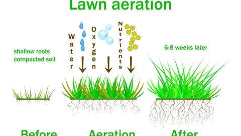 Lawn Aeration Smithsburg Maryland Lawn Care Service