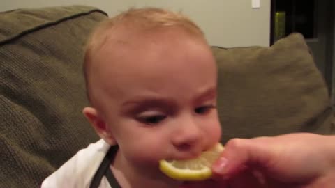 Baby Tastes Lemon For The First Time baby first lemon,baby eat lemon first time,eating lemon for the
