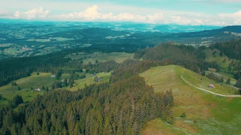 Bernese Oberland,Bernese Oberland video,Animal,Animal video