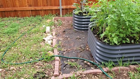 Implementing a rain barrel for the raised bed garden. #2