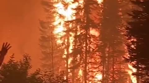 Closer look into the fires of Alberta Canada