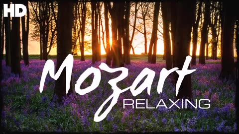 Mozart Relaxation Meditation Reading Focus