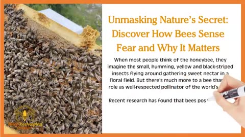 Unmasking Nature's Secret: Discover How Bees Sense Fear and Why It Matters