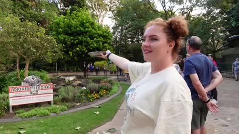 feeding rainbow lorikeets at currumbin wildlife sanctuary!