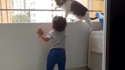 My cat try to protect my son