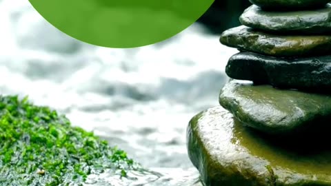 Refreshing - Green Organic Zen Waterfall Just Breathe