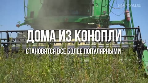 Строительство домов из конопли представляет собой инновационный и экологически устойчивый подход.