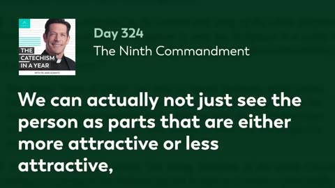 Day 324: The Ninth Commandment — The Catechism in a Year (with Fr. Mike Schmitz)