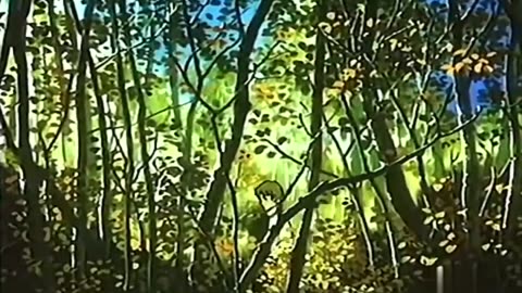 LE AVVENTURE DI GRAY-IL VOLO DEL LUPO BIANCO (1990) [HD-1080p60]