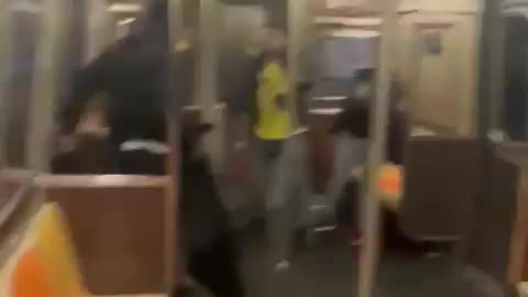 Brooklyn Subway Fight Escalates to Gunshots as Frantic Passengers Scramble to Get Off