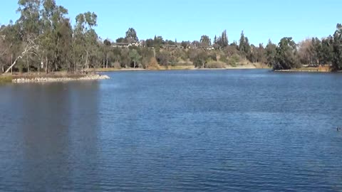 Los Gatos, CA — Vasona Lake Park #1