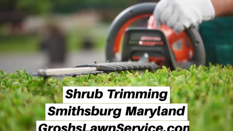 Shrub Trimming Smithsburg Maryland Landscape Company