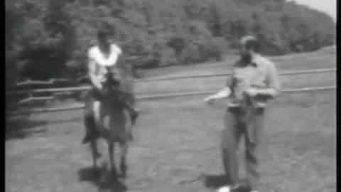 1981- „Einreiten“ einer Tarpanstute