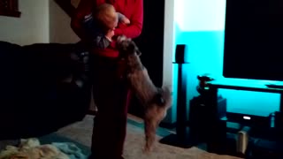 Cute baby laughs at jumping puppy