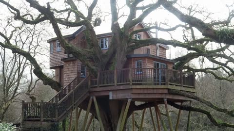 OUR LUXURY TREEHOUSE TOUR | LIVING IN A TREE 🌳🏠