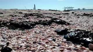 Israeli beaches hit by mystery oil spill