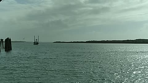 Boat coming into port