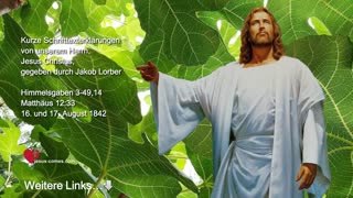 An der Frucht erkennt man den Baum ❤️ Jesus Christus erklärt Matthäus 1233