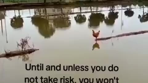 You Can't Achieve Anything Without Taking Risks #shorts #shortvideo #video #virals #videoviral