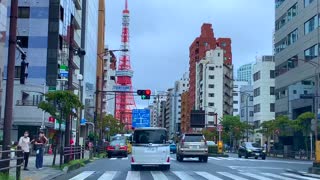 High Quality Luxury Japanese White bread in Asabujuban - Nogami bread 乃ガ美