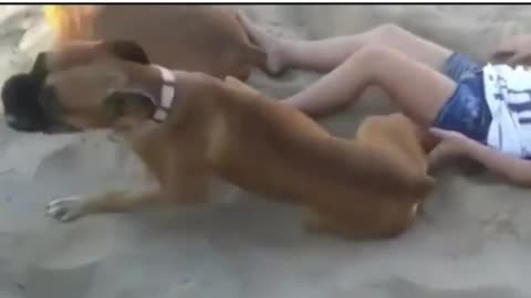 Dog revenge with baby 😂😂