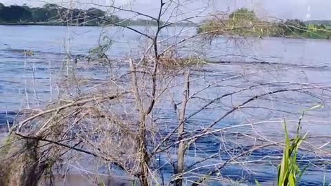 Derrame de crudo en el Río Magdalena