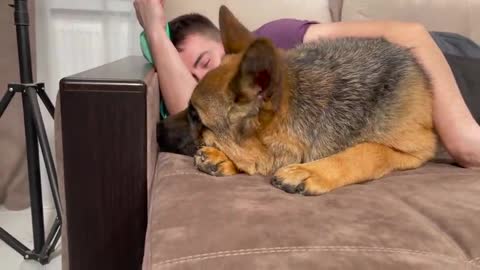 German Shepherd reacts to my snoring