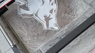 Engraving Razorback in Concrete