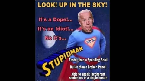 Adventures of Stupidman