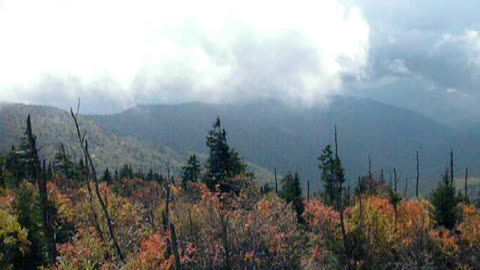 Scenic Overlook in the Smokies