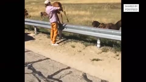 Man Returns Lost Baby Horse To Its Mom… How beautiful!