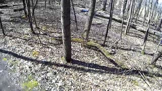 Collab copyright protection - all blue mtb log faceplant