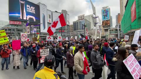 anti-lockdown protest toronto