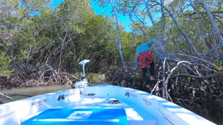 Australian Rescues a Sea Turtle Caught in Some Brambles