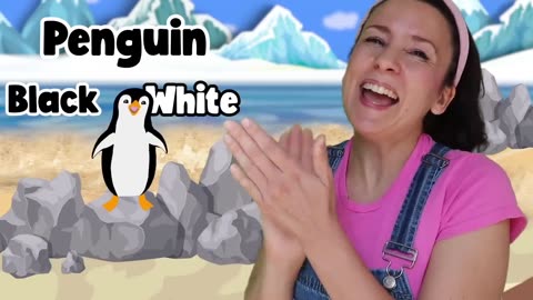 Learning with Ms Rachel - Learn Words and Colors for Toddlers - Educational Kids Videos - Animals