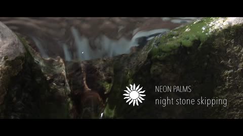 NEON PALMS -+Night Stone Skipping