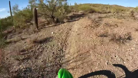 Wednesday Arizona singletrack