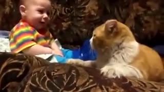 Baby play with cat