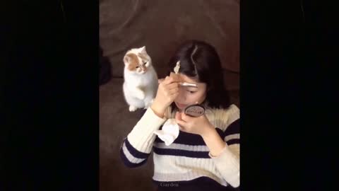 Omg super cute and funny this pets