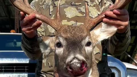 Big Whitetail Buck 2023 - Dragging out of Woods - Marksman’s Creed #hunting #deer #huntingseason