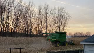 HARVESTING CORN